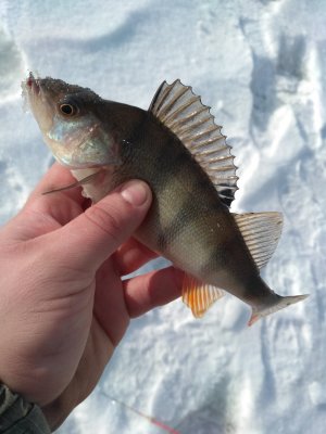 IMG_20180126_132028.jpg