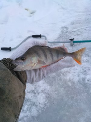 IMG_20180126_143619.jpg