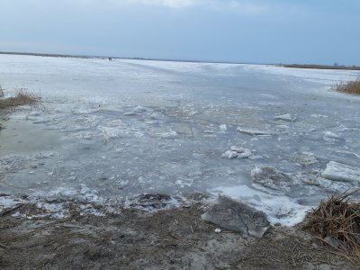 20180224_070057.jpg