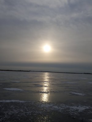 20180224_080708.jpg