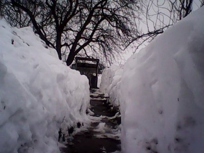 IMG1031A.jpg