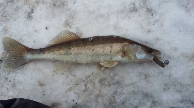 20180312_111012.jpg
