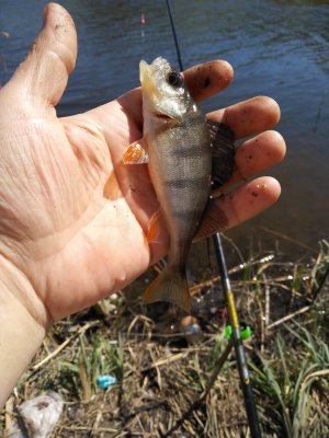 IMG_20180422_112842.jpg