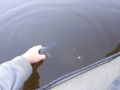 DSCN3030.JPG