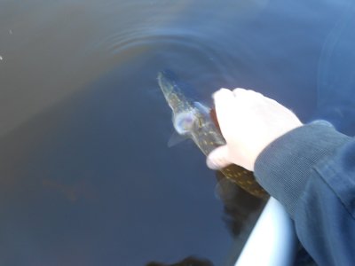 DSCN3534.JPG