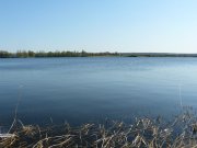 P1050643.JPG