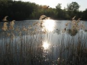 IMG_6662.jpg