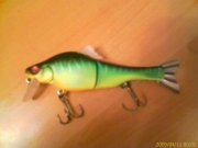 IMAGE_531.jpg