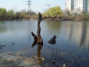 100_1803.JPG