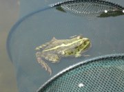 IMG_1021.jpg