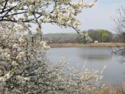 IMG_1027.JPG