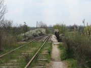 IMG_1029.JPG