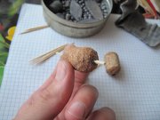 IMG_0460.JPG