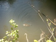 Img_0010.jpg