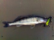 05052009763.jpg