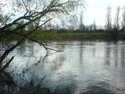 DSC02883.JPG