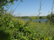IMG_6468.jpg