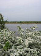 IMG_5439.jpg