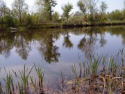 DSC00094.JPG