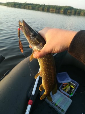 IMG_20180815_061604.jpg