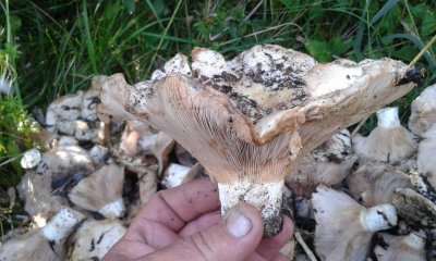 20180916_125510.jpg
