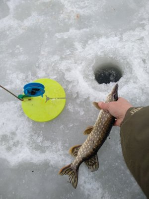 IMG_20190103_151742.jpg