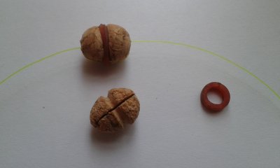20190205_114251.jpg