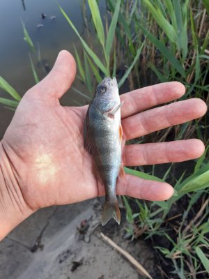 20190831_180638.jpg