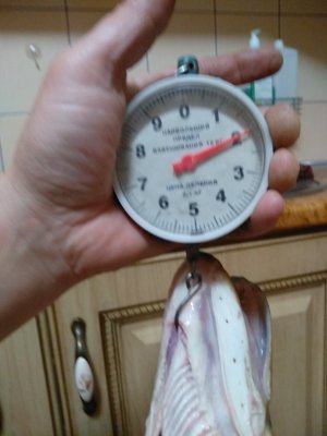 IMG_20191217_164822.jpg