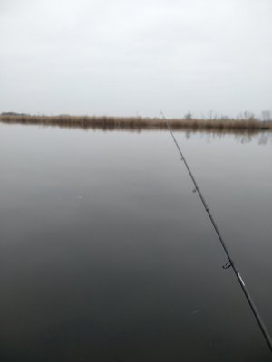 IMG_20200103_111720.jpg