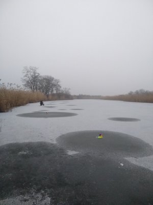 IMG_20200110_072818.jpg