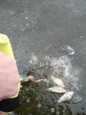 IMG_20200110_104306.jpg