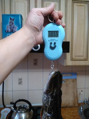 IMG_20200110_131252.jpg