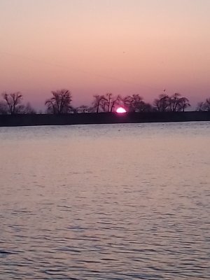IMG_20200301_063826.jpg