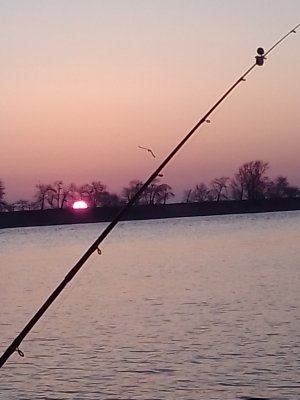 IMG_20200301_063842.jpg