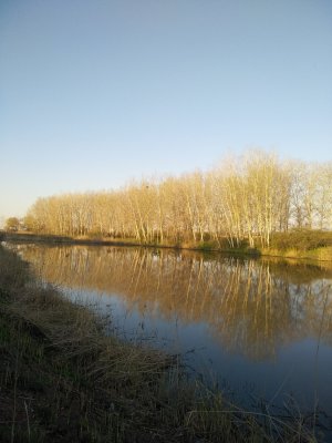 IMG_20200422_062533.jpg