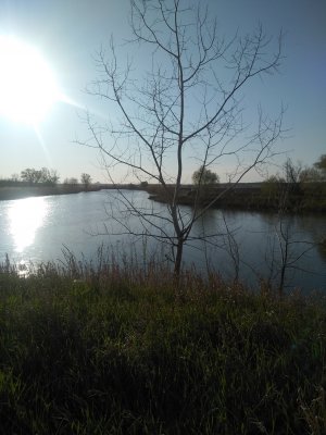 IMG_20200423_180148.jpg