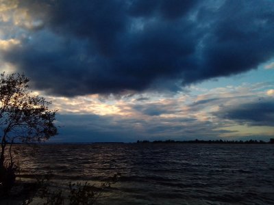 IMG_20200523_195639.jpg