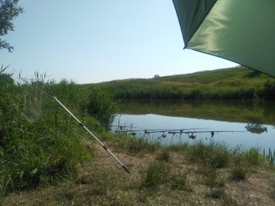 IMG_20200628_093500.jpg