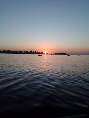 IMG_20200729_052645.jpg