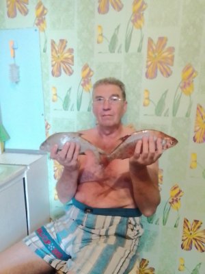 IMG_20200729_185618.jpg