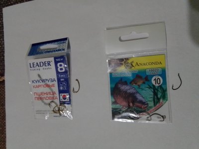 IMG_20200829_192856.jpg