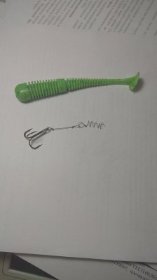 IMG_20200908_154738.jpg