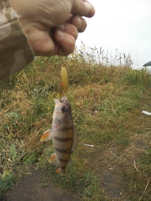 IMG_20200928_120936.jpg