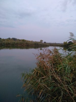 IMG_20200929_063333.jpg