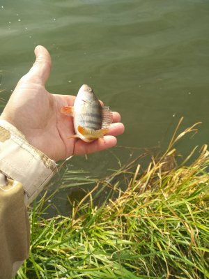 IMG_20200929_092634.jpg