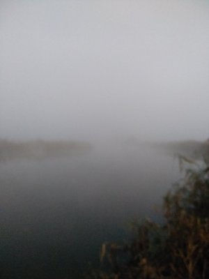 IMG_20201020_064910.jpg
