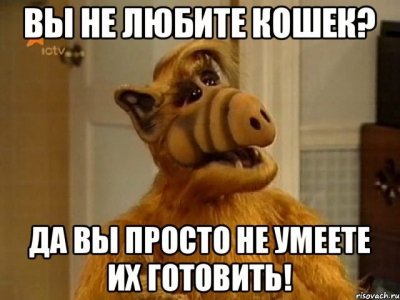 1463928145175496179.jpg