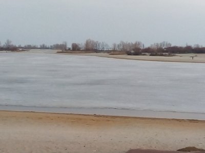 IMG_20210308_063851.jpg
