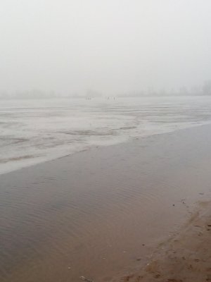 IMG_20210314_064336.jpg